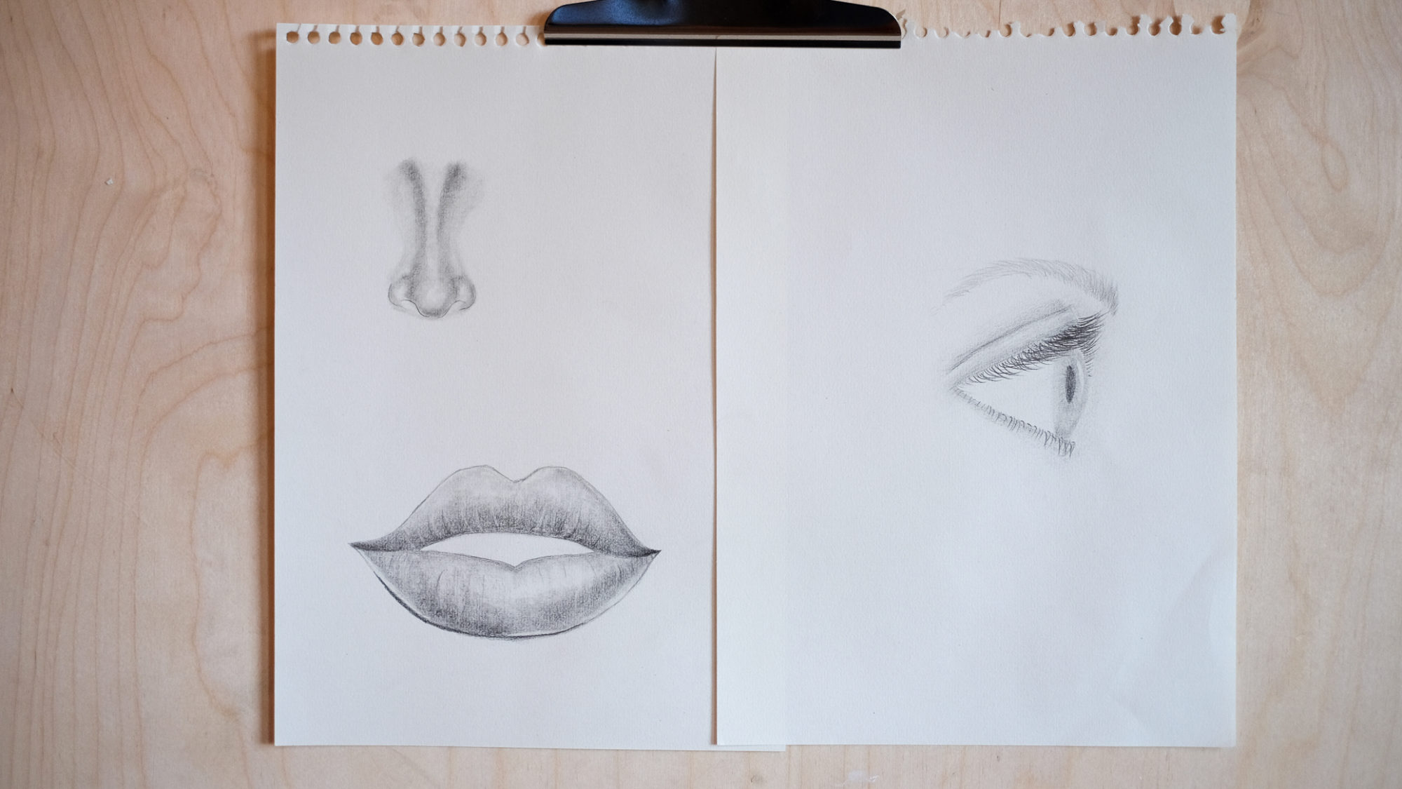 Eyes have quickly grown to become one of my favourite things to sketch :  r/sketches